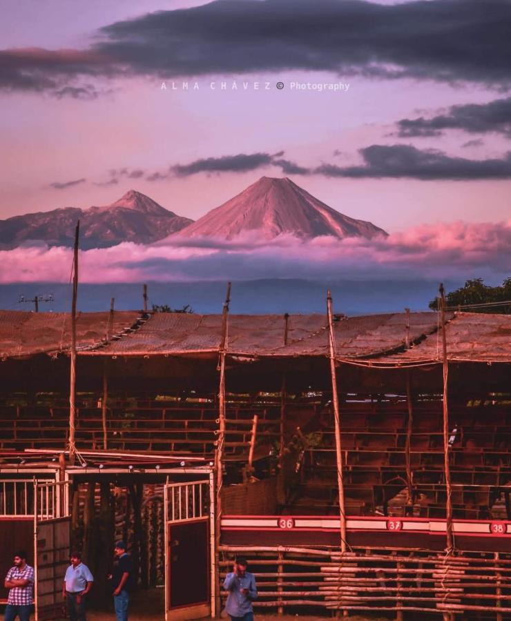 Suites Lagunas コリマ エクステリア 写真